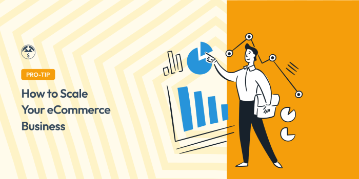 How to Scale Your eCommerce Business in WordPress